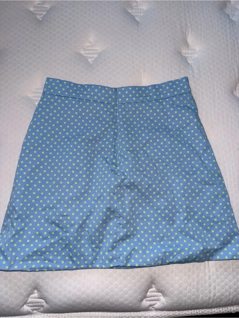 28. Zara Blue Polka Dot A-Line Skirt